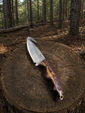 Mini Skinner with gut hook by Hometown Knives