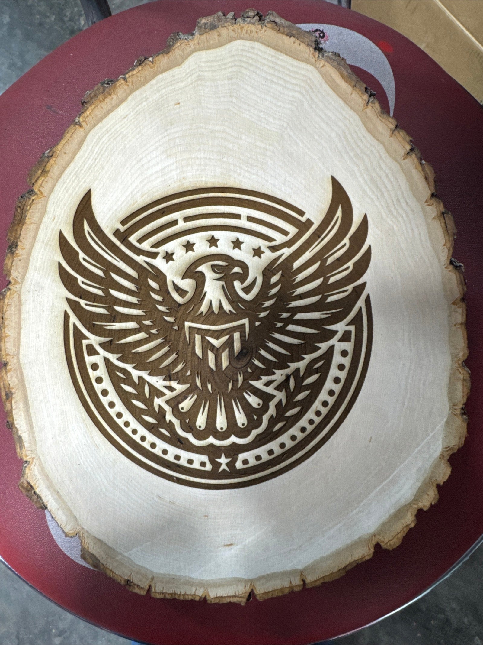US Freedom Eagle on Rustic Wood